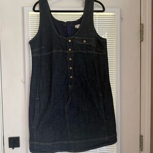 Anthropologie Pilcro Dark Denim Sleeveless Dress